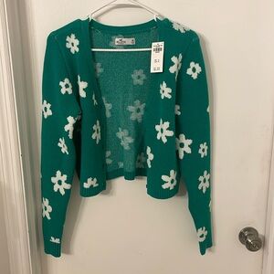 NWT-Hollister Sweater